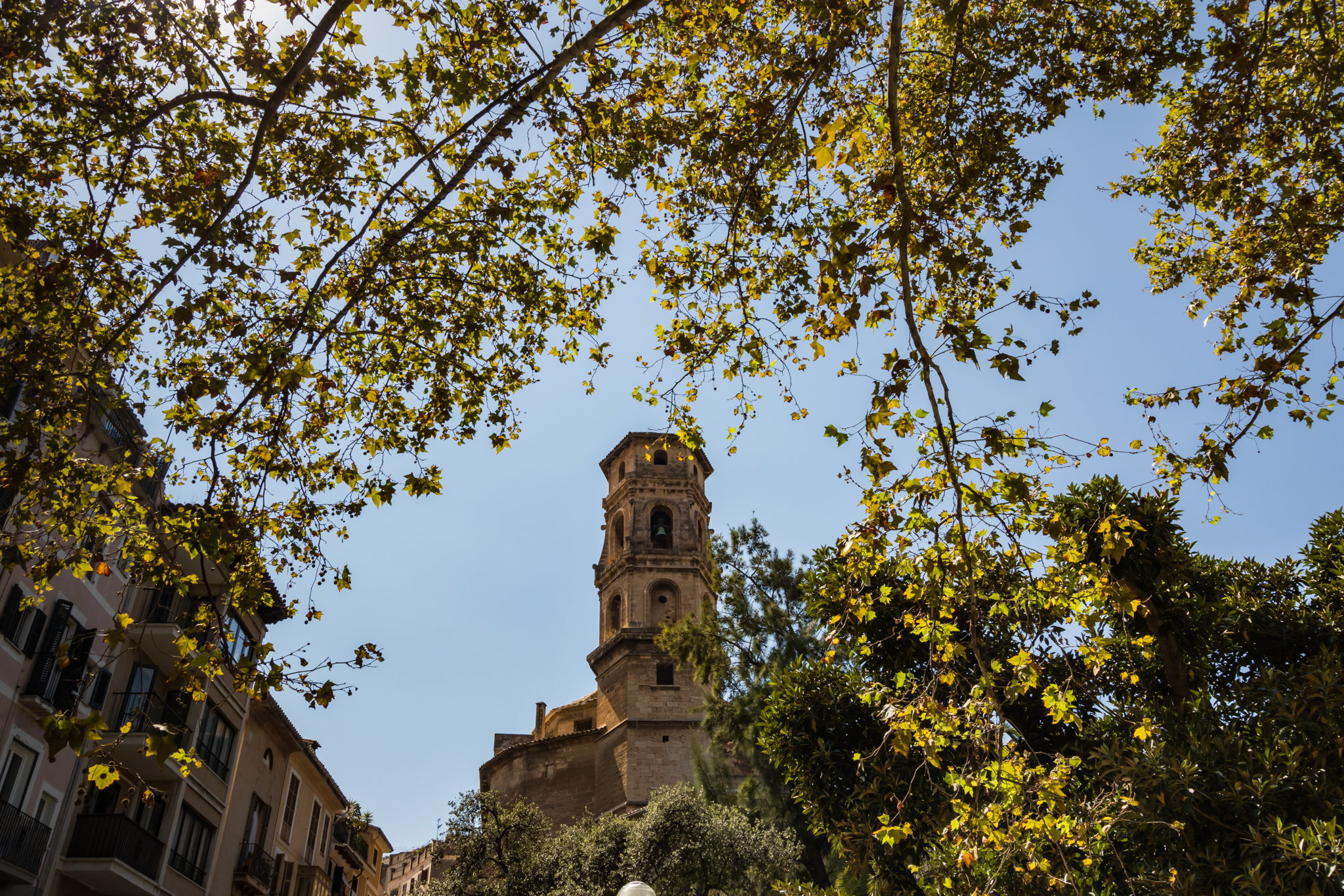 Fotografie - Reisen - Spanien - Mallorca